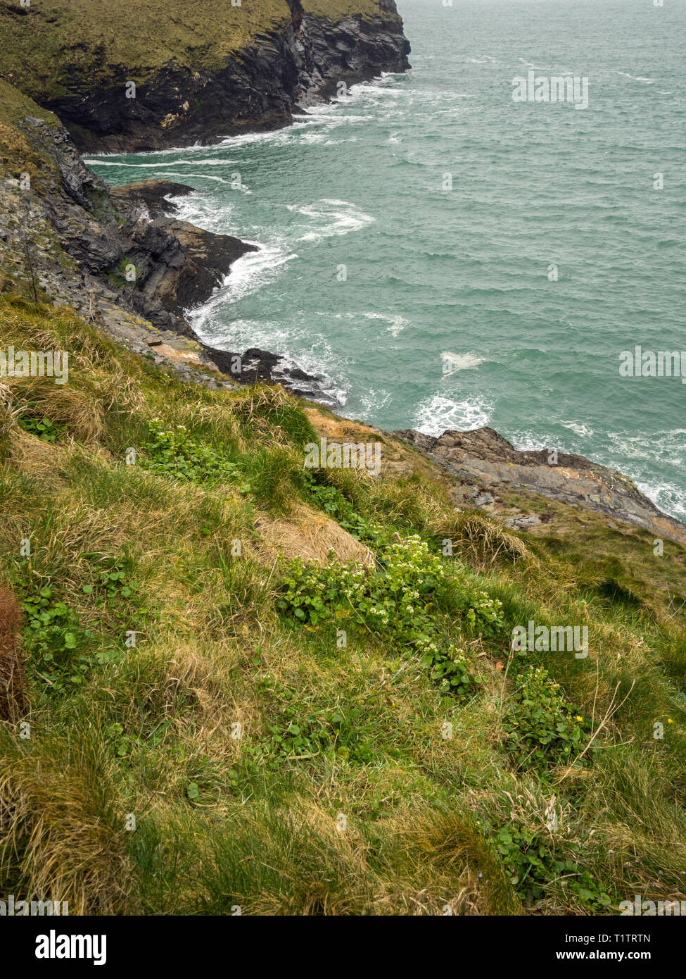 The beautiful and rugged Cornish coastline at Boscastle Stock Photo