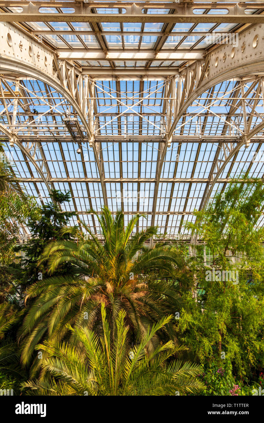 Inside the Victorian Temperate House at Kew Gardens, London, England