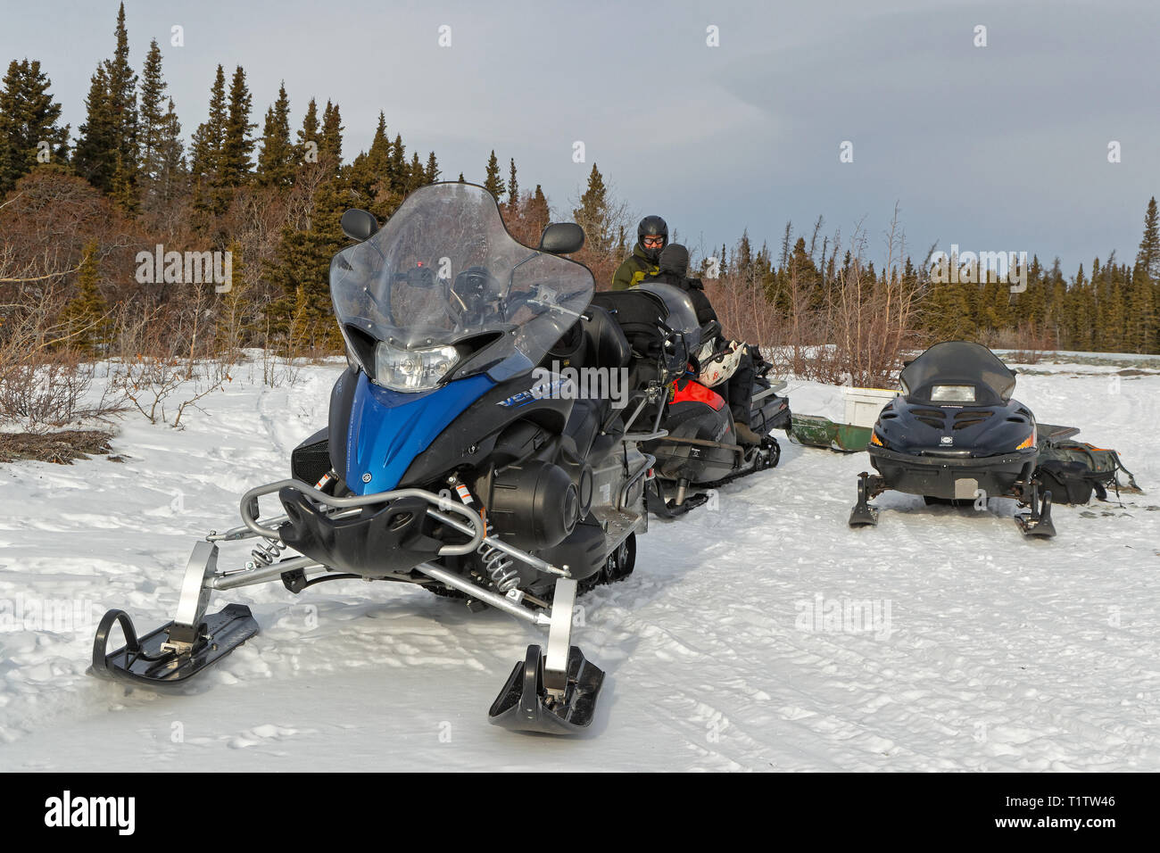 HAINES JUNCTION, YUKON, CANADA, March 12, 2019 : Journey are organized on icefields with snowmobiles. Stock Photo