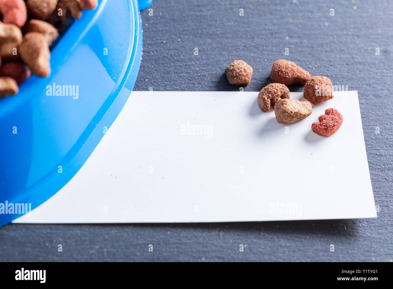pets food on the floor Stock Photo Alamy
