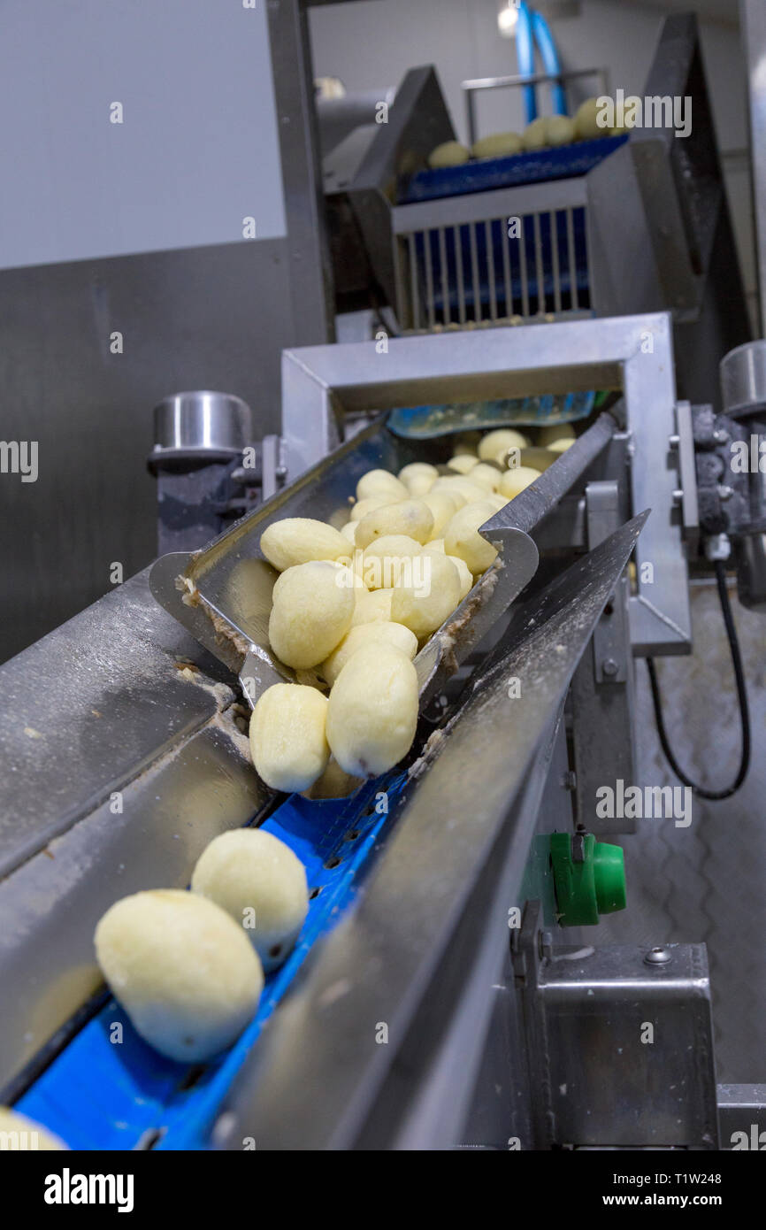 Potatoes being washed and peeled by machine Stock Photo