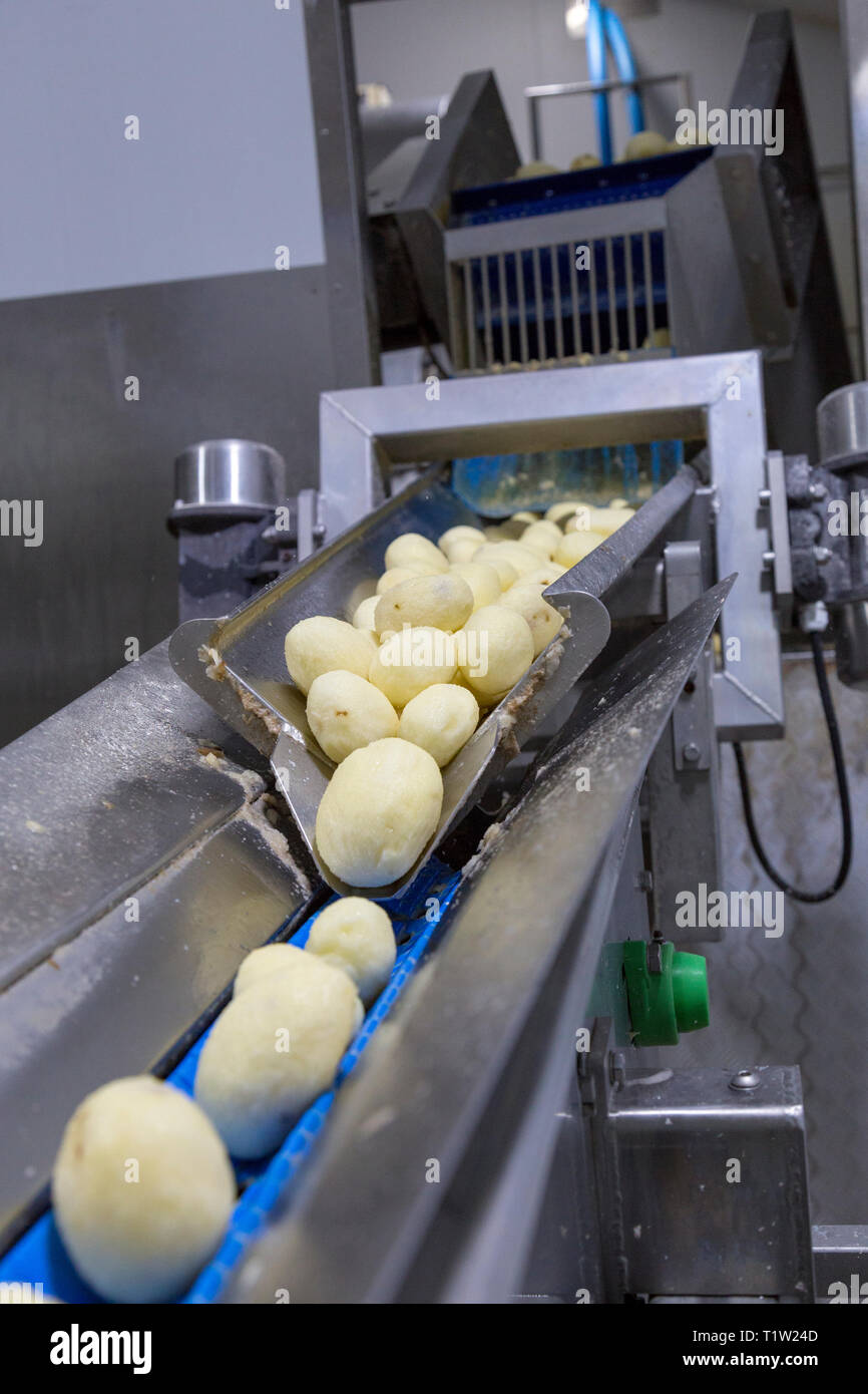 Potatoes being washed and peeled by machine Stock Photo
