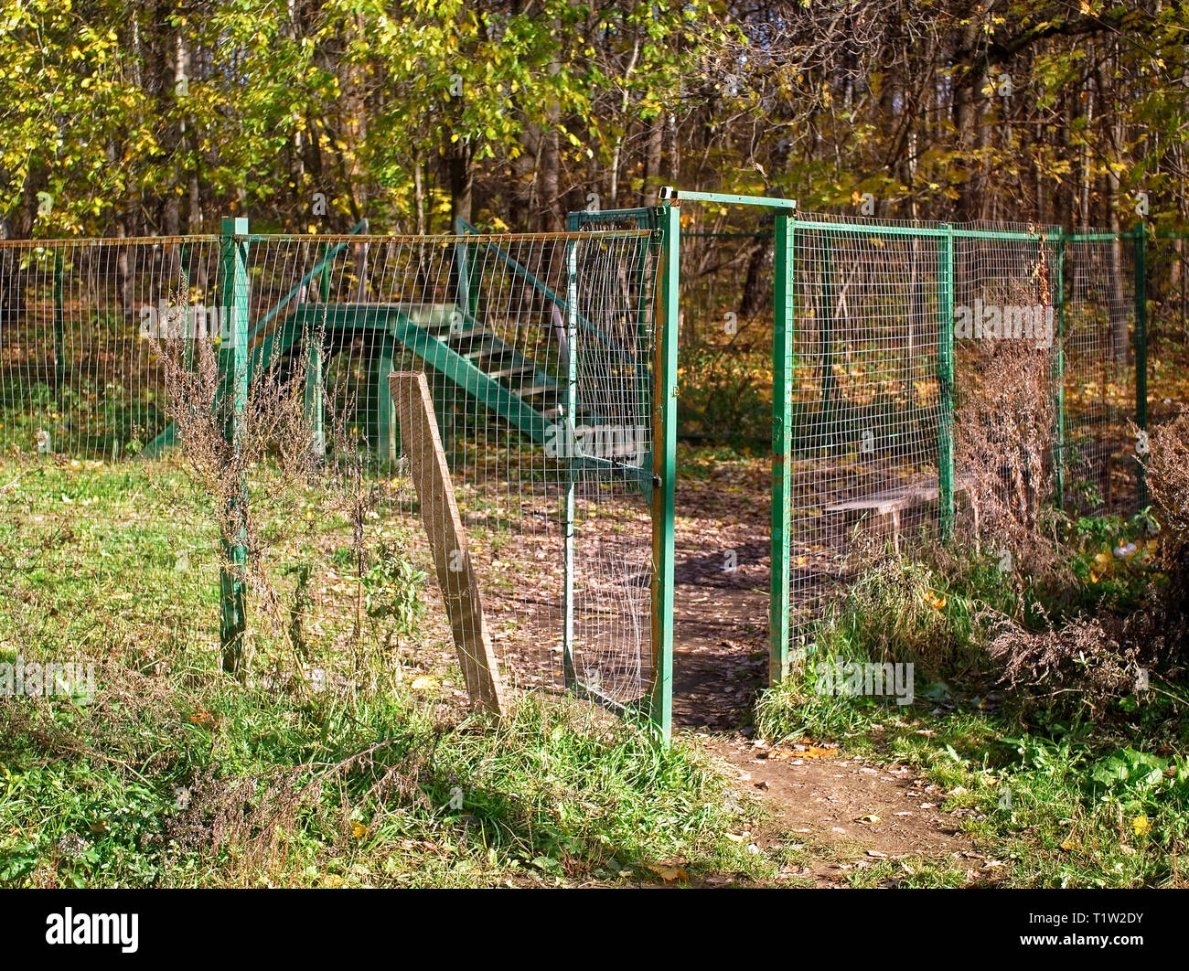 dog walking area on a clear day, Moscow Stock Photo Alamy