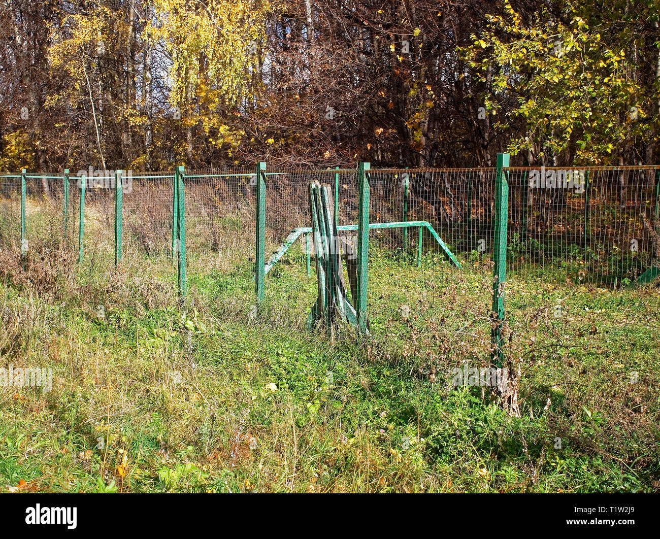 dog walking area on a clear day, Moscow Stock Photo