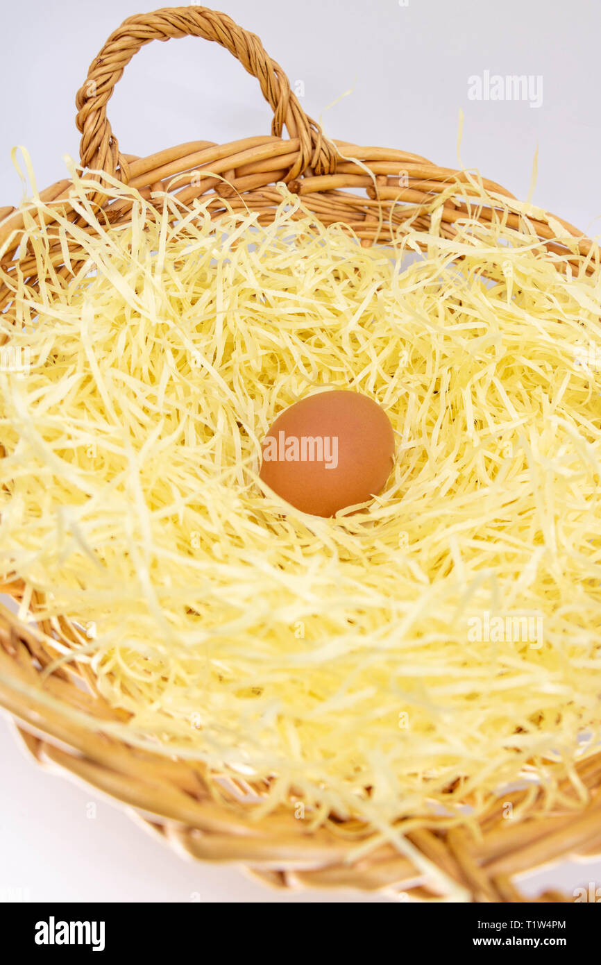 Egg hen placed in a nest in straw Stock Photo - Alamy