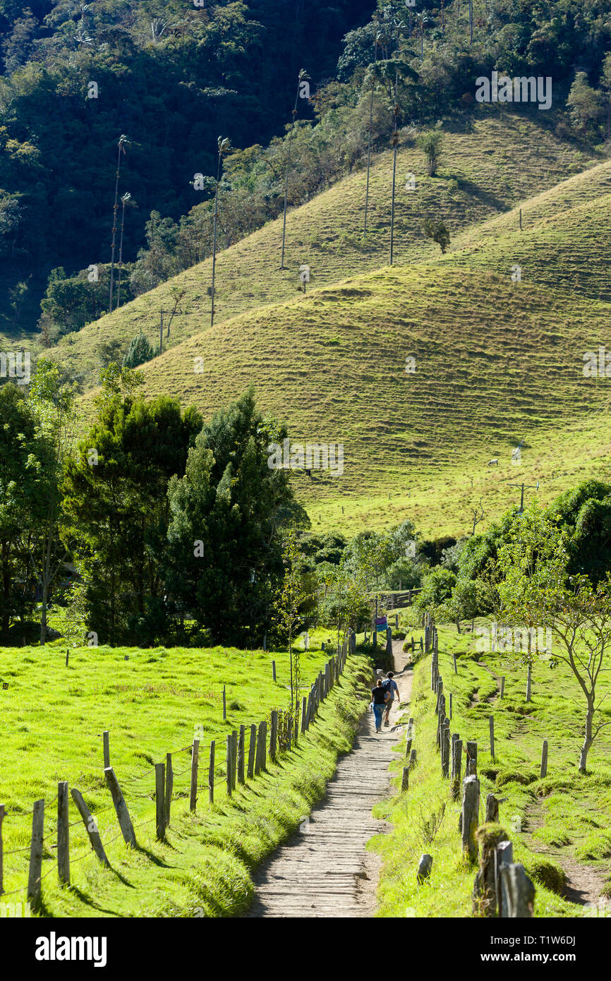 Cordillera central hi-res stock photography and images - Alamy, image size:866x1390