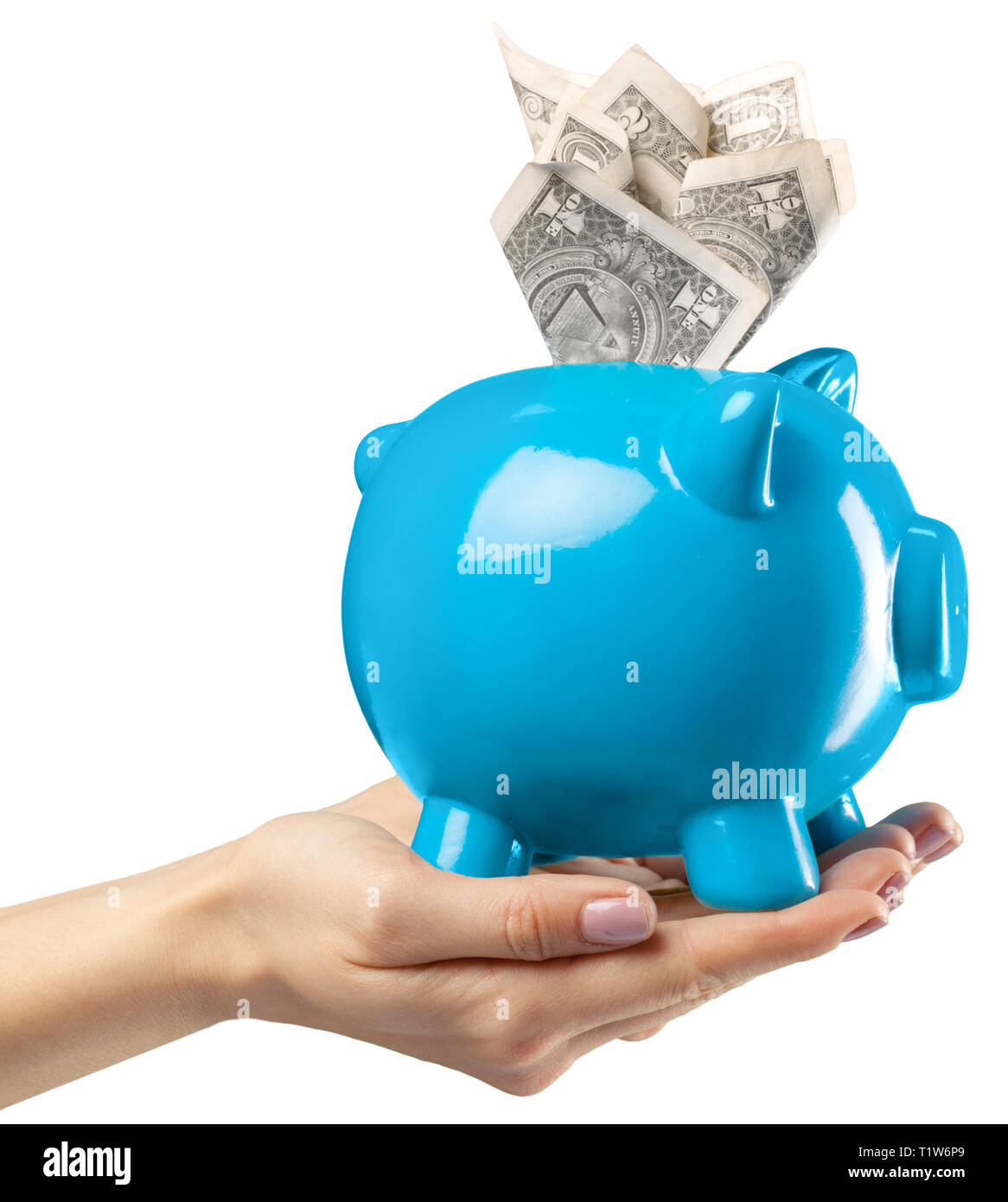 Female hands holding a piggy bank Stock Photo - Alamy