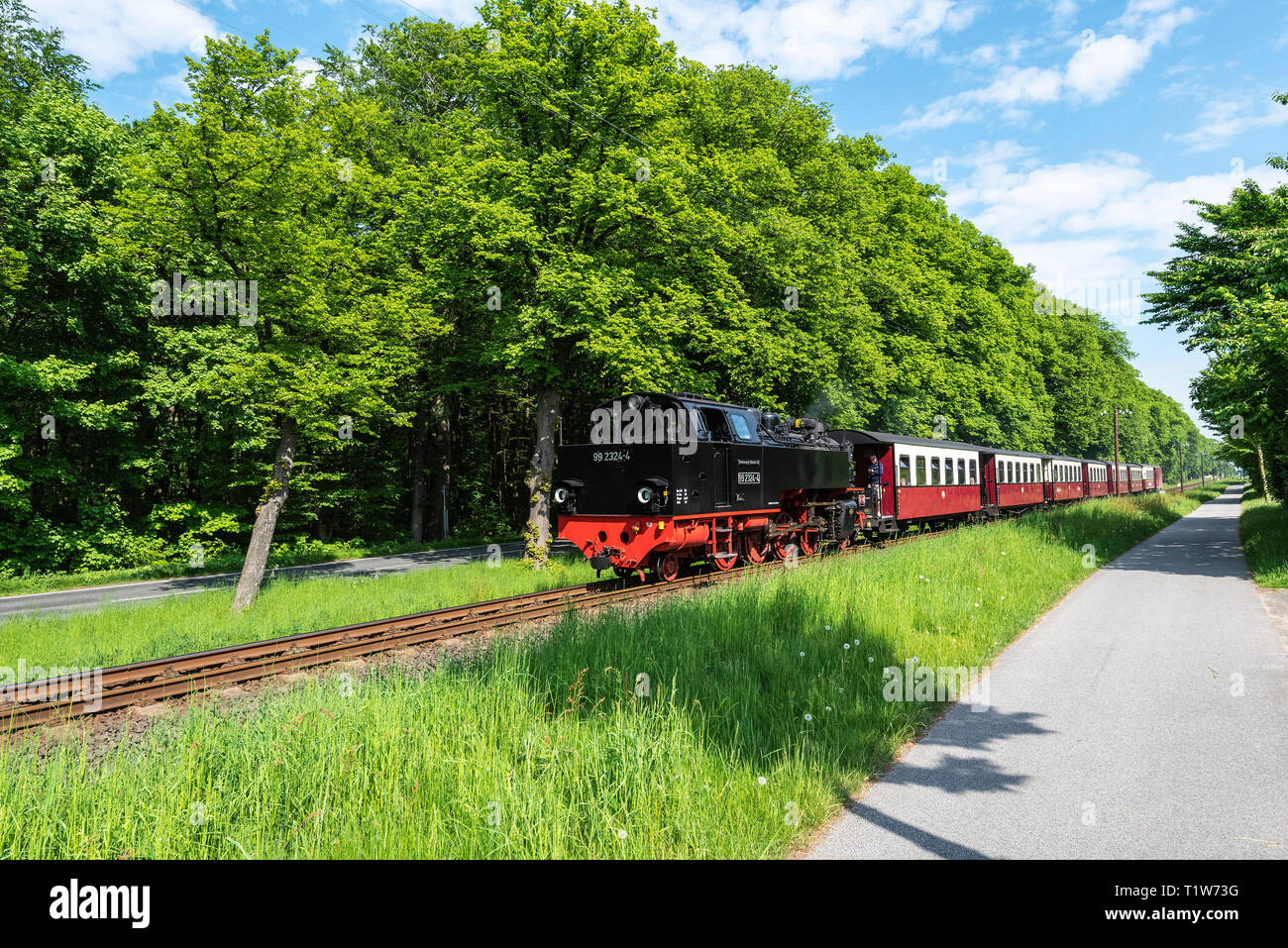 steam railway, Molli, narrow-gauge railway, Kuehlungsborn, Mecklenburg-Western Pomerania, Germany Stock Photo