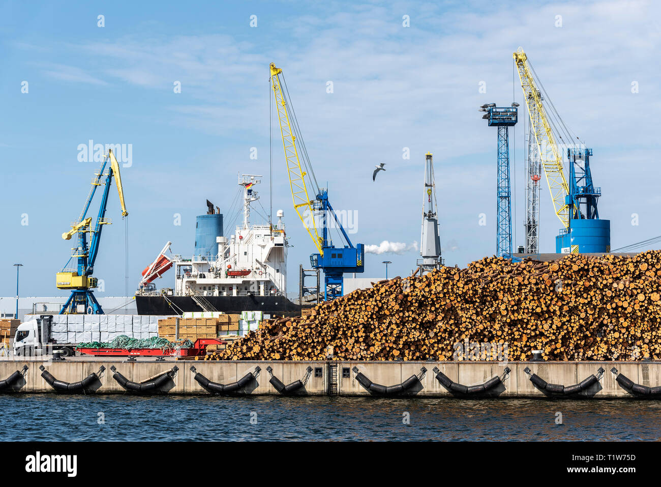 logs, cargo ship, cranes, overseas port, Wismar, Mecklenburg-Western Pomerania, Germany Stock Photo