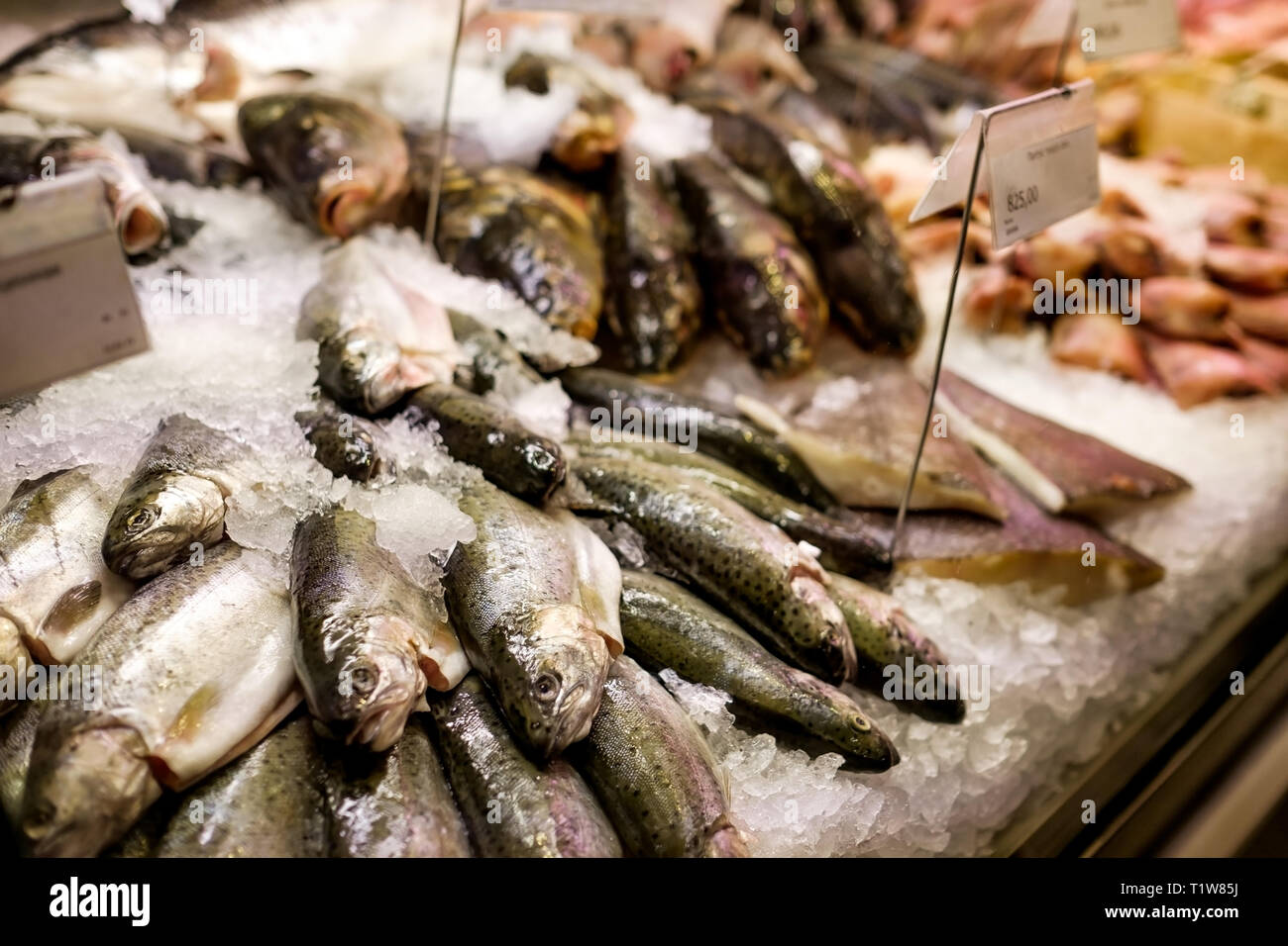 Variety of sea fishes on the counter in a fish shop Stock Photo - Alamy