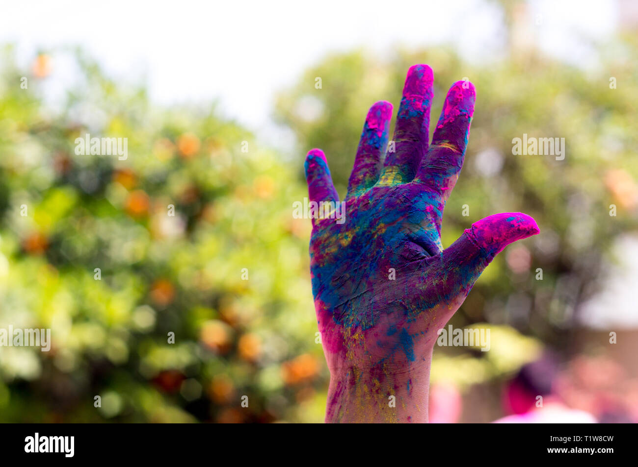Colorful hand shot against a blurred background during the hindu festival  of Holi Stock Photo - Alamy