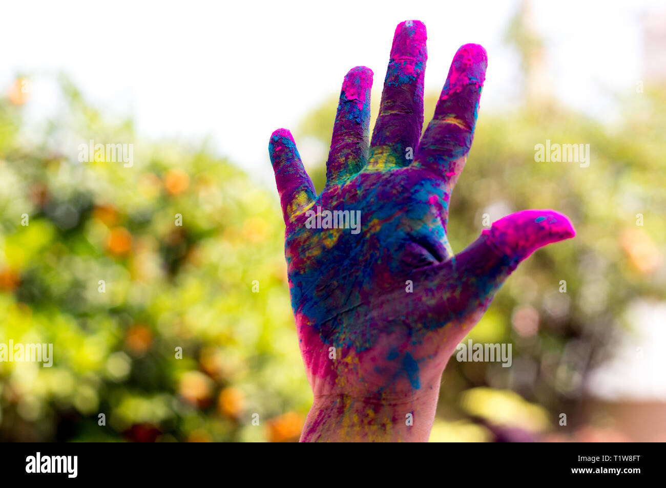 Colorful hand shot against a blurred background during the hindu festival  of Holi Stock Photo - Alamy