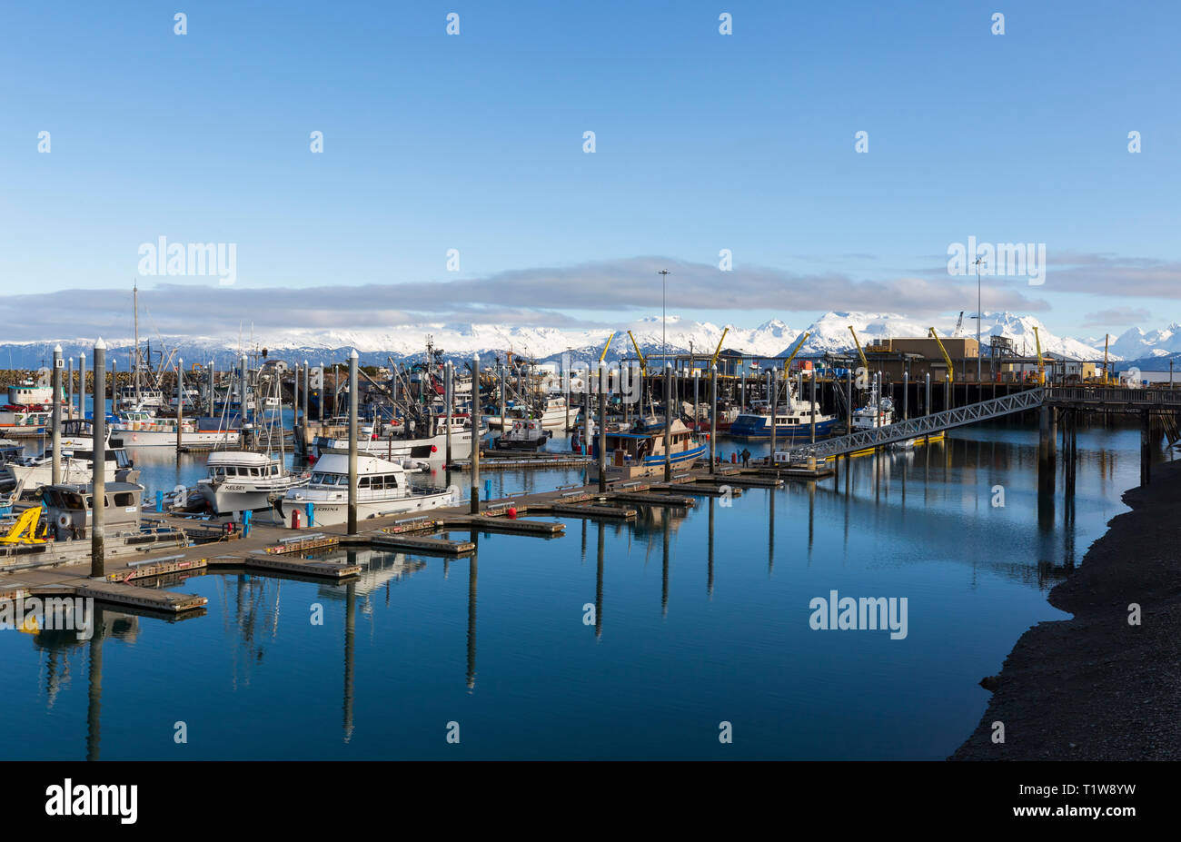 Homer, Alaska, fishing port known as the Halibut fishing capital of the world. Stock Photo