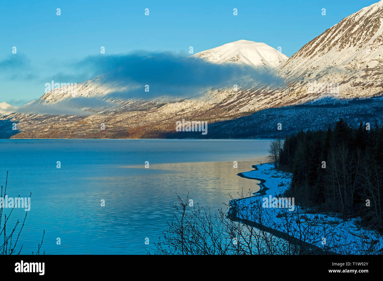 Primrose lake hi-res stock photography and images - Alamy