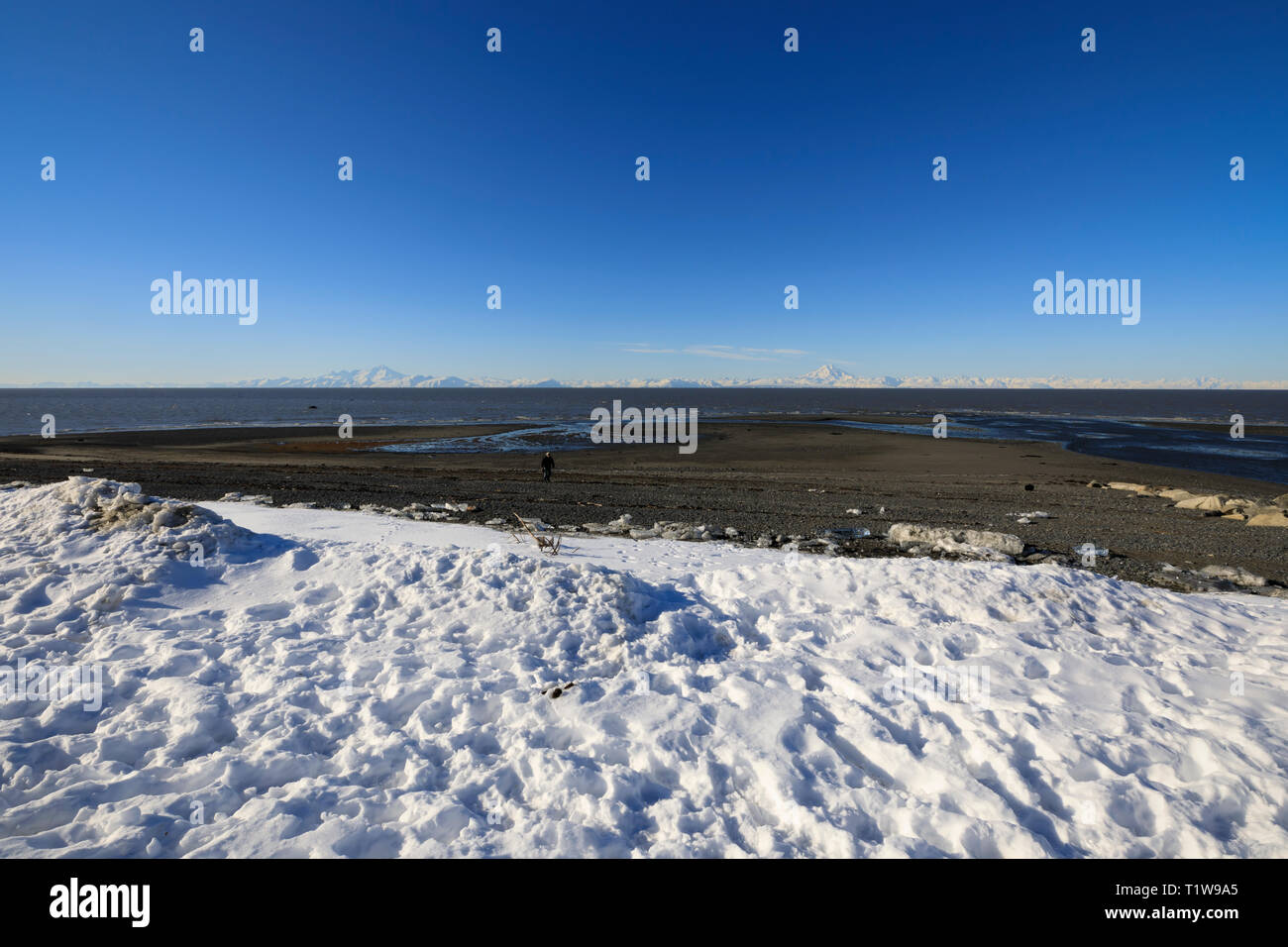Cook Inlet and the Alaska Range from Ninilchik Stock Photo
