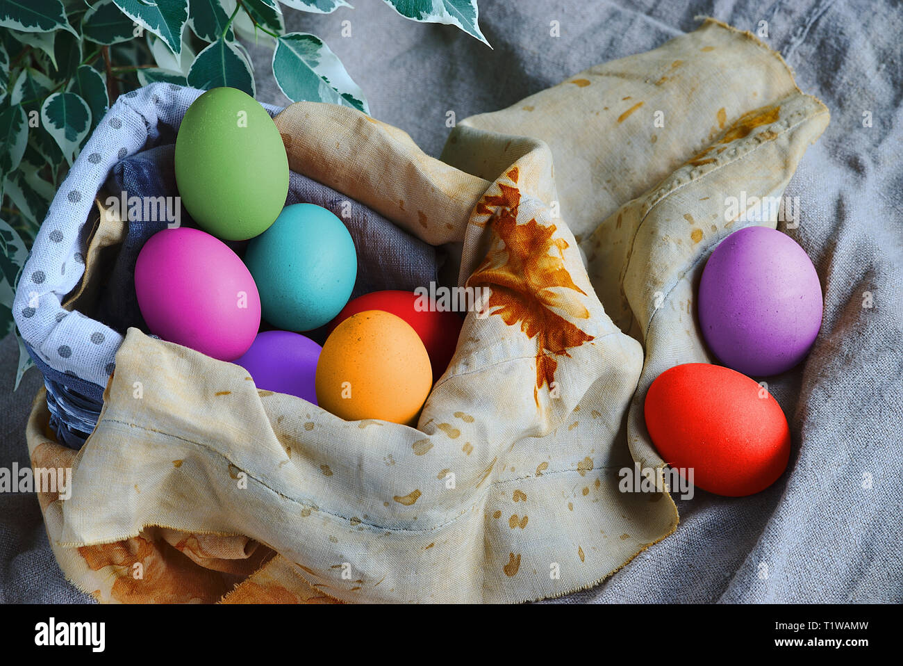 multicolored Easter eggs in a basket and printed cloths Stock Photo
