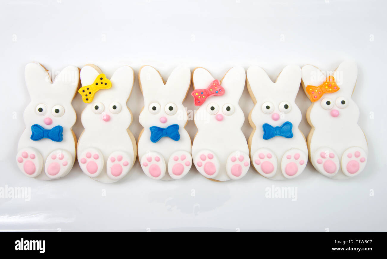 Download Easter Bunny Cookies Boys And Girls With Bow And Bow Tie On A Rectangular Plate Isolated On White Background Close Up Home Made Original Design Stock Photo Alamy