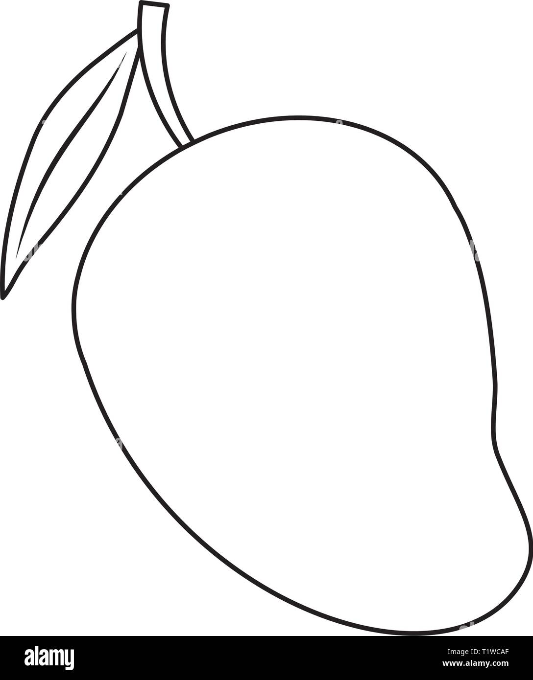 fresh mango fruit healthy vector illustration design Stock Vector Image