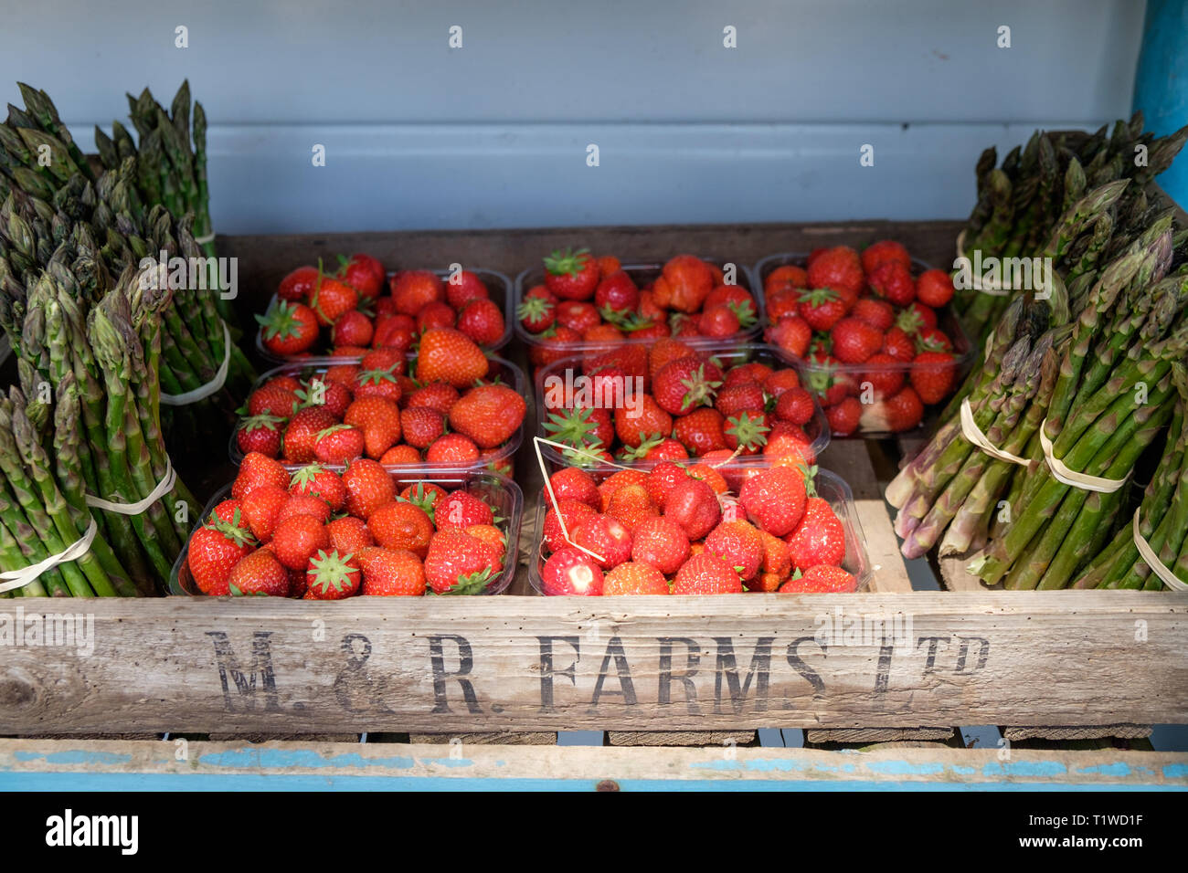 Pannets of English strawberries and asparagus for sale at Wiveton Hall Fruit Farm in North Norfolk, England. Stock Photo