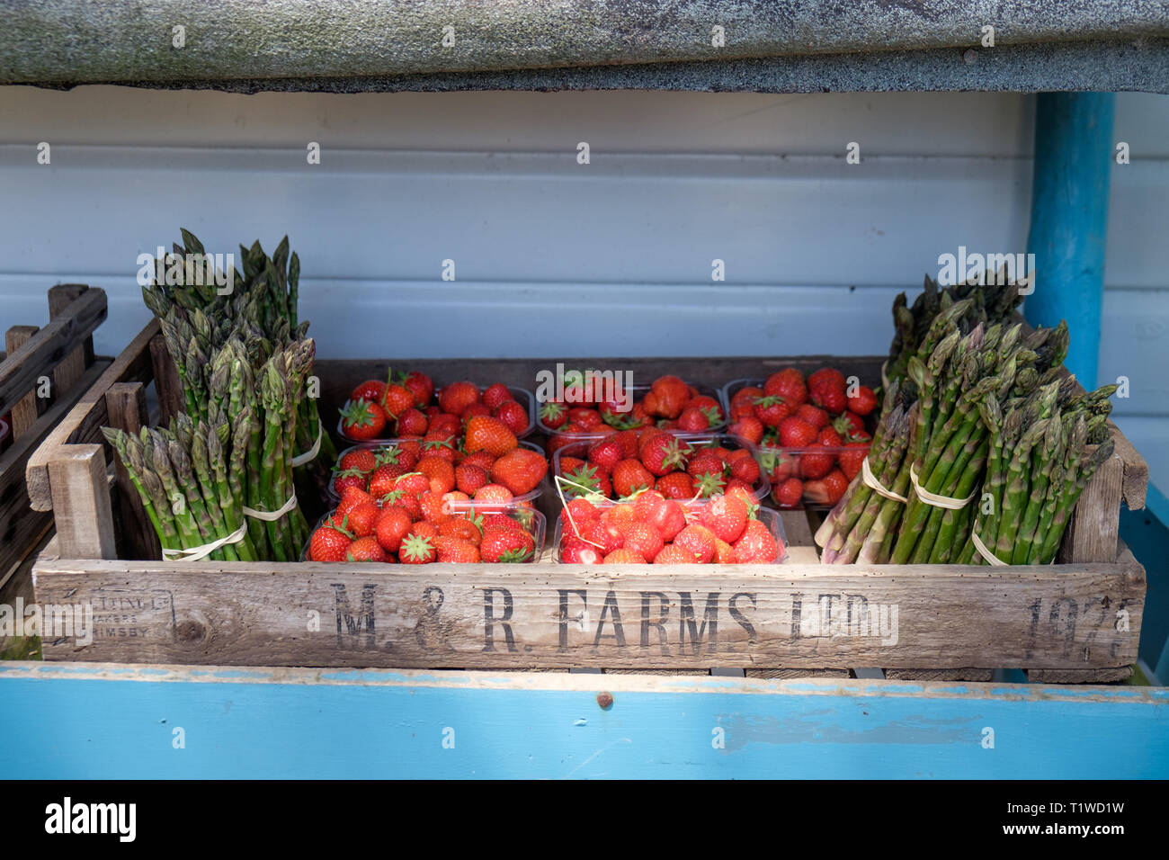 Pannets of English strawberries and asparagus for sale at Wiveton Hall Fruit Farm in North Norfolk, England. Stock Photo
