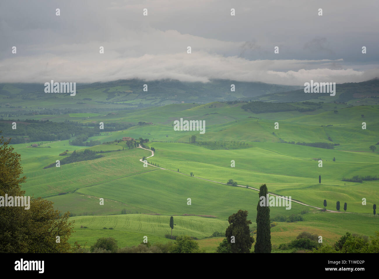 Tuscany, panoramic landscape - Italy Stock Photo - Alamy