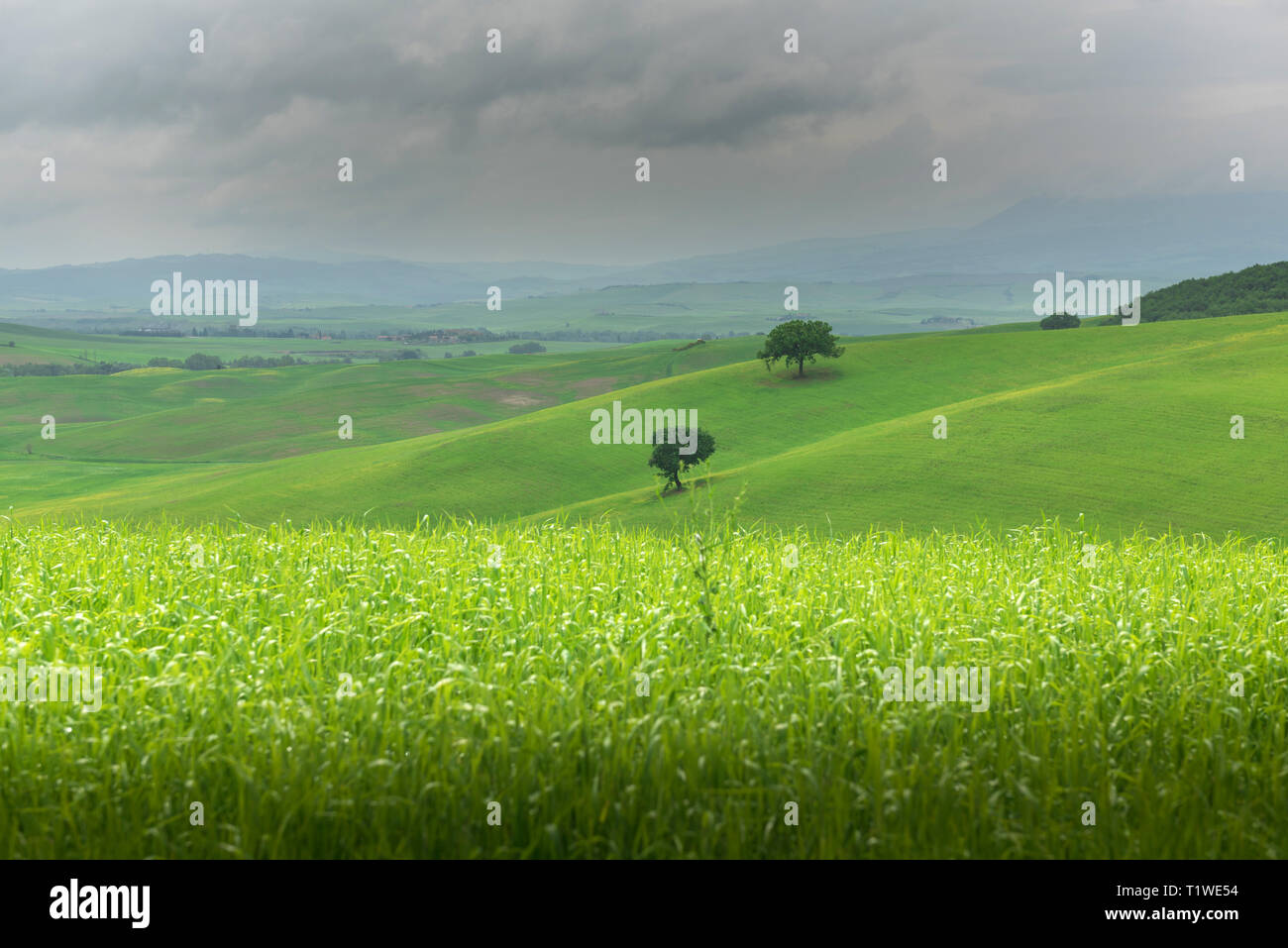 Beautiful rainy landscape in hi-res stock photography and images - Alamy