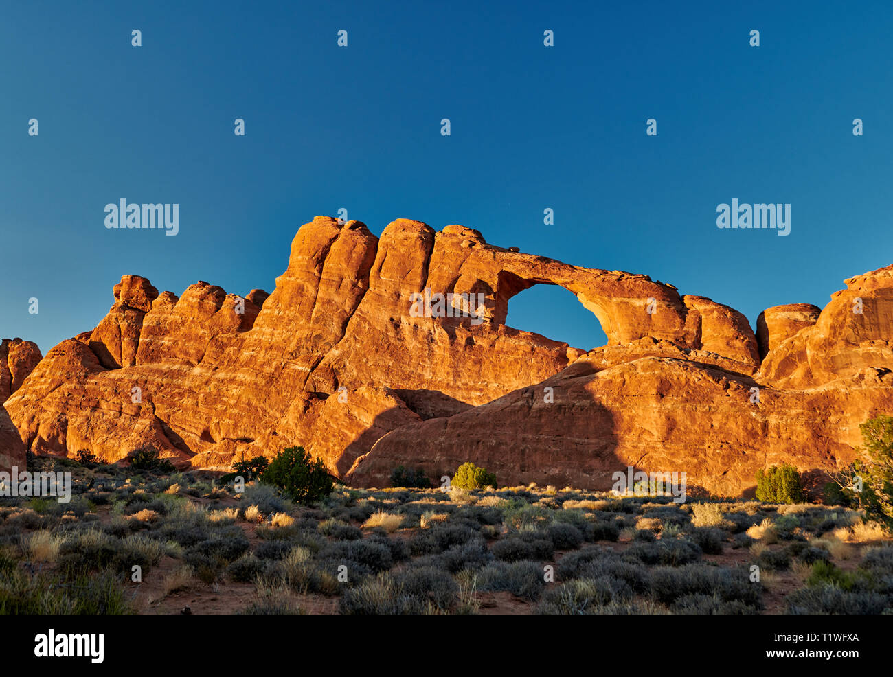 Skyline Arch in Arches National Park, Moab, Utah, USA, North America Stock Photo