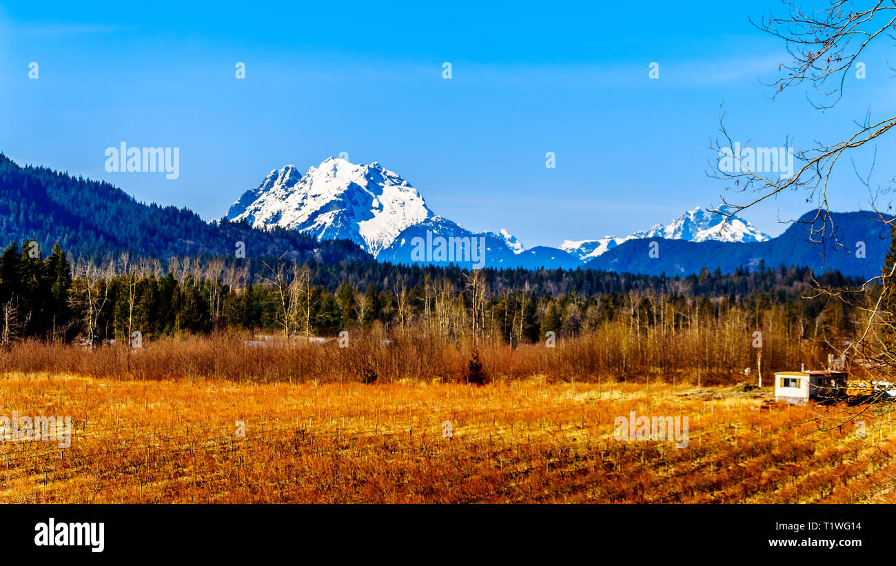 Mount Robie Reid on the left and Mount Judge Howay on the right, viewed from Sylvester Road over the Blueberry Fields near Missionin B.C., Canada Stock Photo