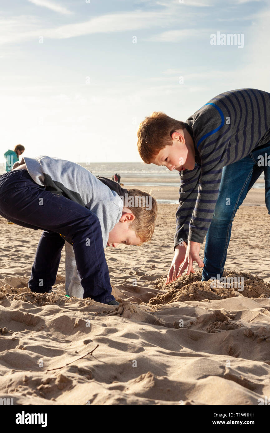 Two boys digging a hole in the sand at Formby beach, Merseyside, UK. Stock Photo