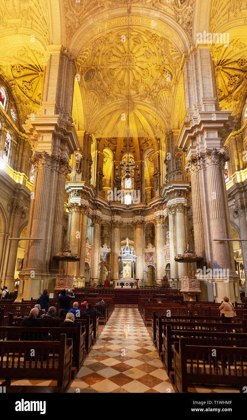 Malaga Cathedral Interior - the nave of Catedral de Malaga; Malaga, Andalucia Spain Europe Stock Photo