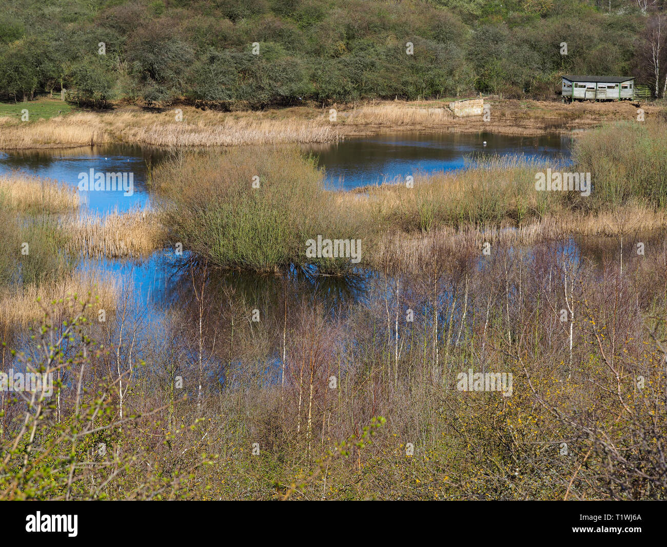 Wetlands and a bird hide at Fairburn Ings Nature Reserve, West Yorkshire, England Stock Photo