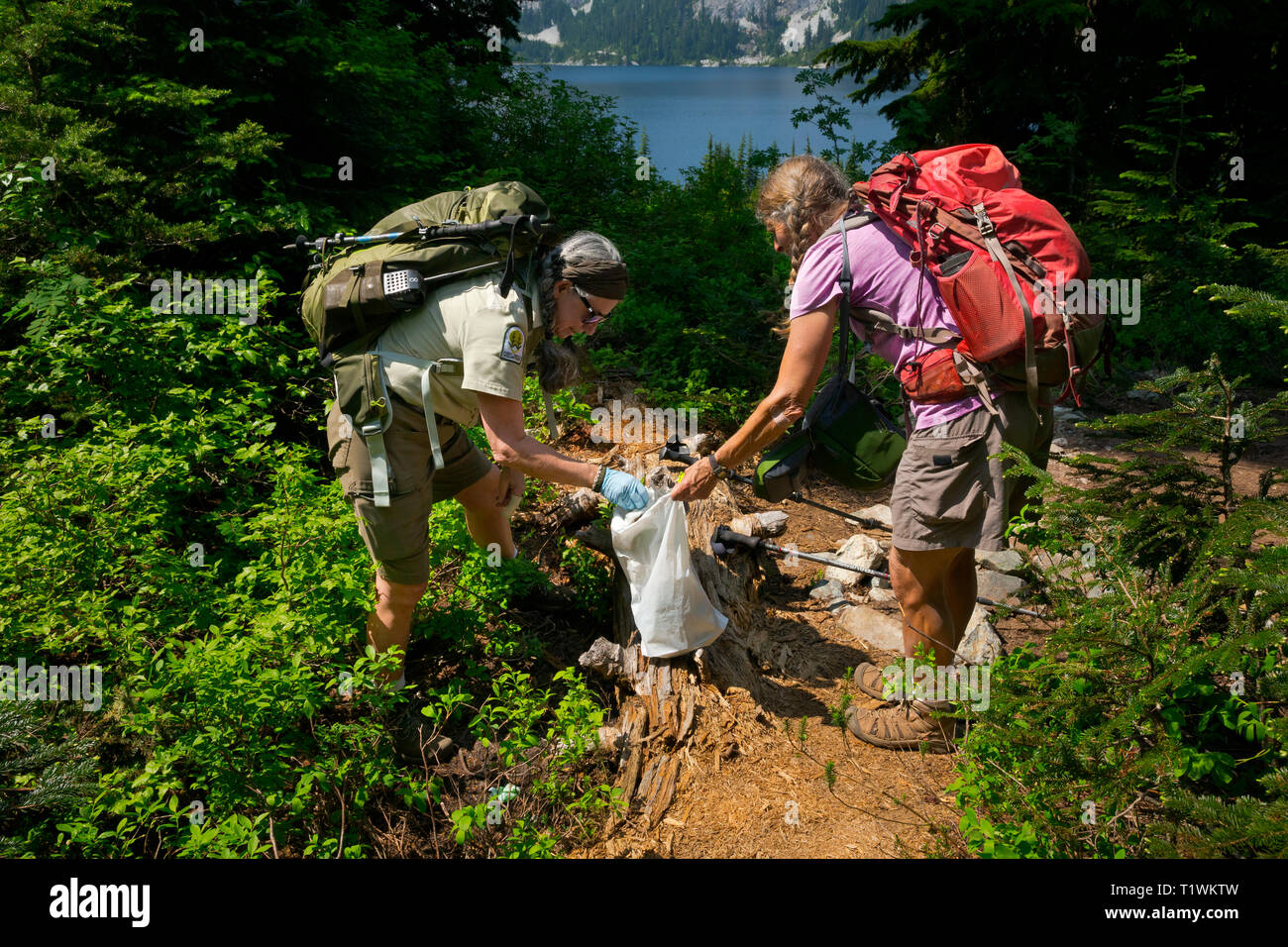 WASHINGTON - Forest Service Volunteer Jane Ellen Seymour, with a semi-enthusiastic helper, pick up garbage and human waste left by hikers. Stock Photo