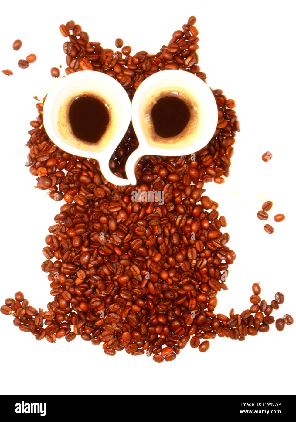 coffee owl Stock Photo
