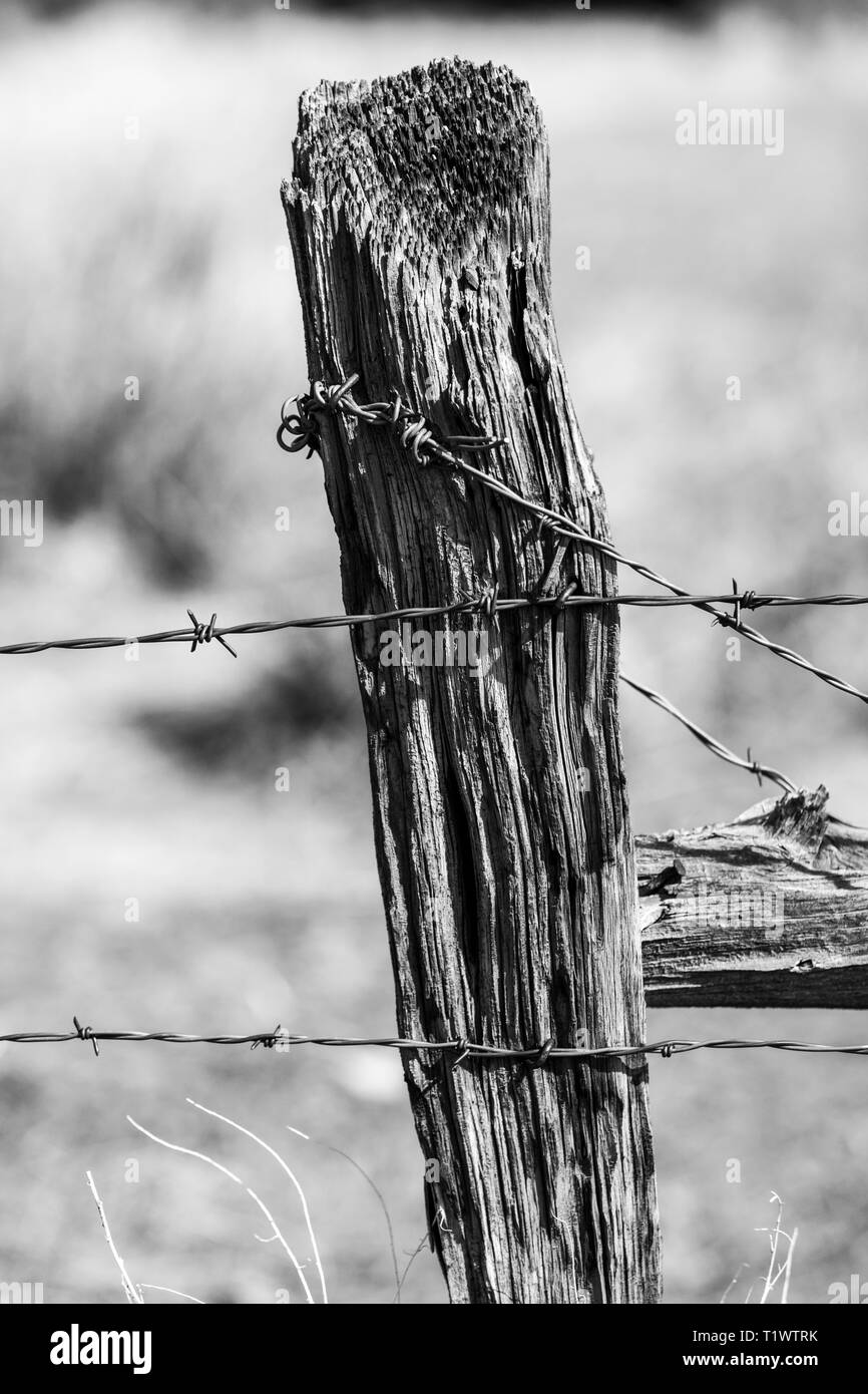 Black & white close-up of barbed wire fence & weathered wooden fence post; ranch in Central Colorado; USA Stock Photo