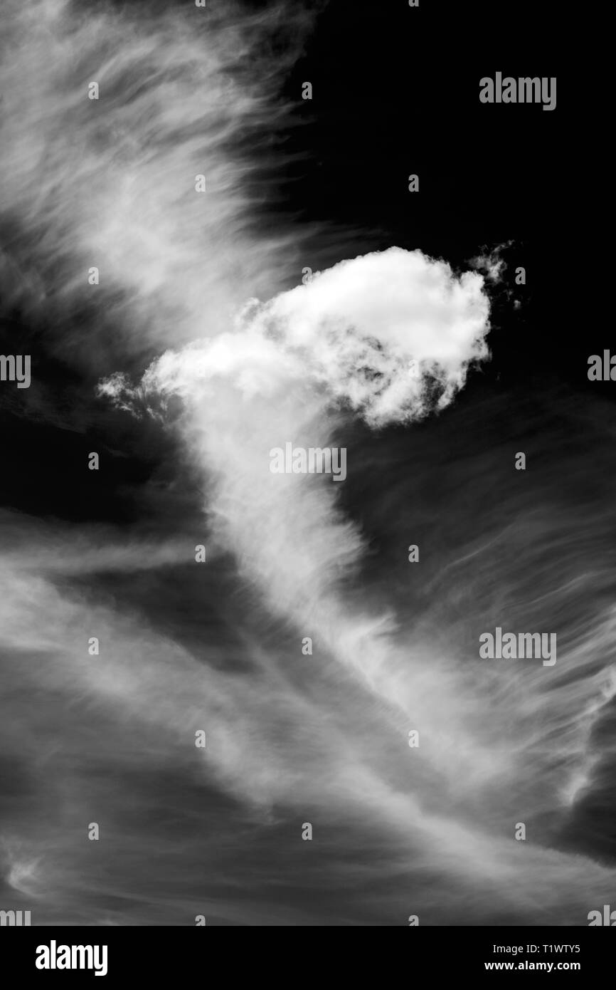 Black & white view of unusual cloud formations against clear cobalt blue sky; central Colorado, USA Stock Photo