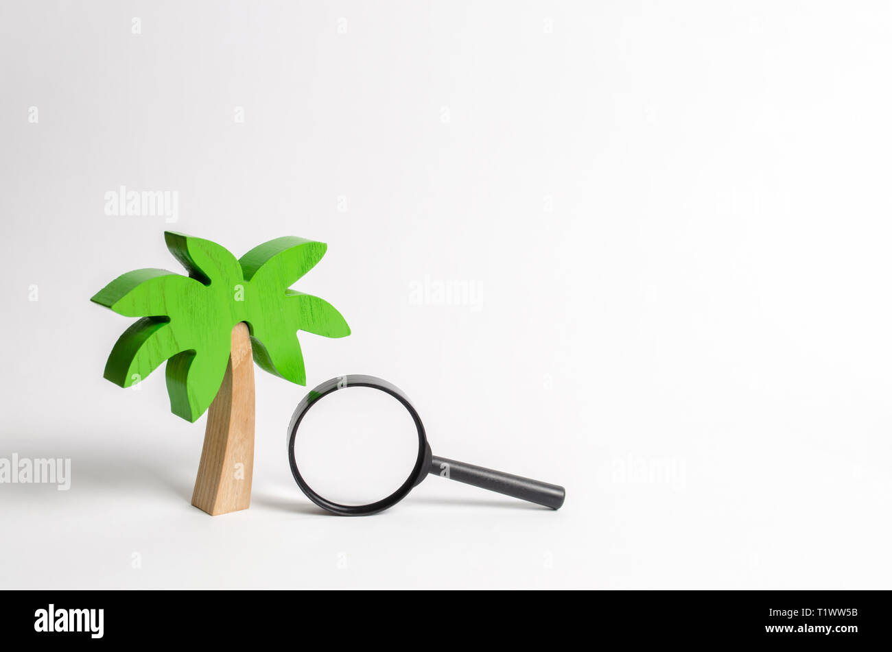Wooden palm tree and a magnifying glass. Search for tours and cruises to warm countries. The development of tourism. Tropical island. Conceptual leisu Stock Photo