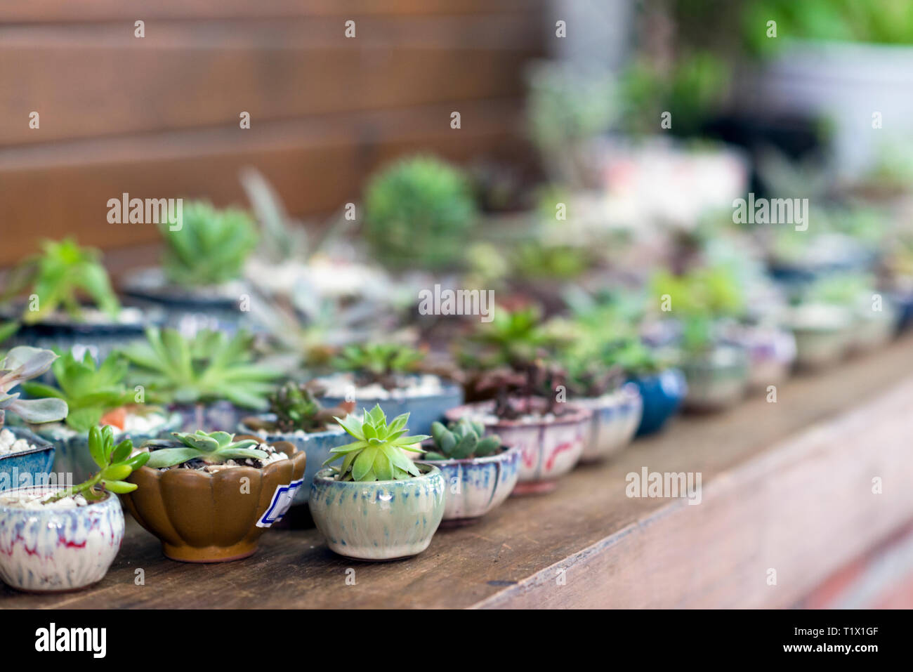 Ceramic vases hires stock photography and images Alamy