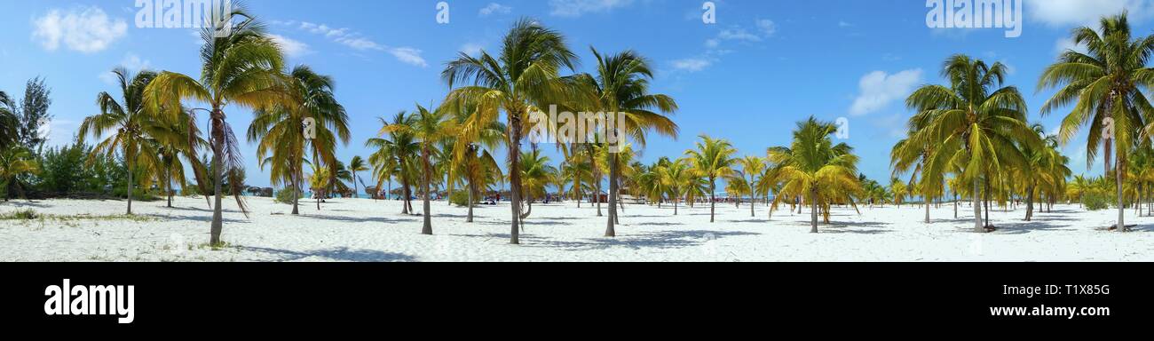 Playa Sirena Beach Tourist Resort Detail and Palm Trees Wide Panoramic Landscape on Cayo Largo Tropical Island in Caribbean Sea, Cuban Coast Stock Photo