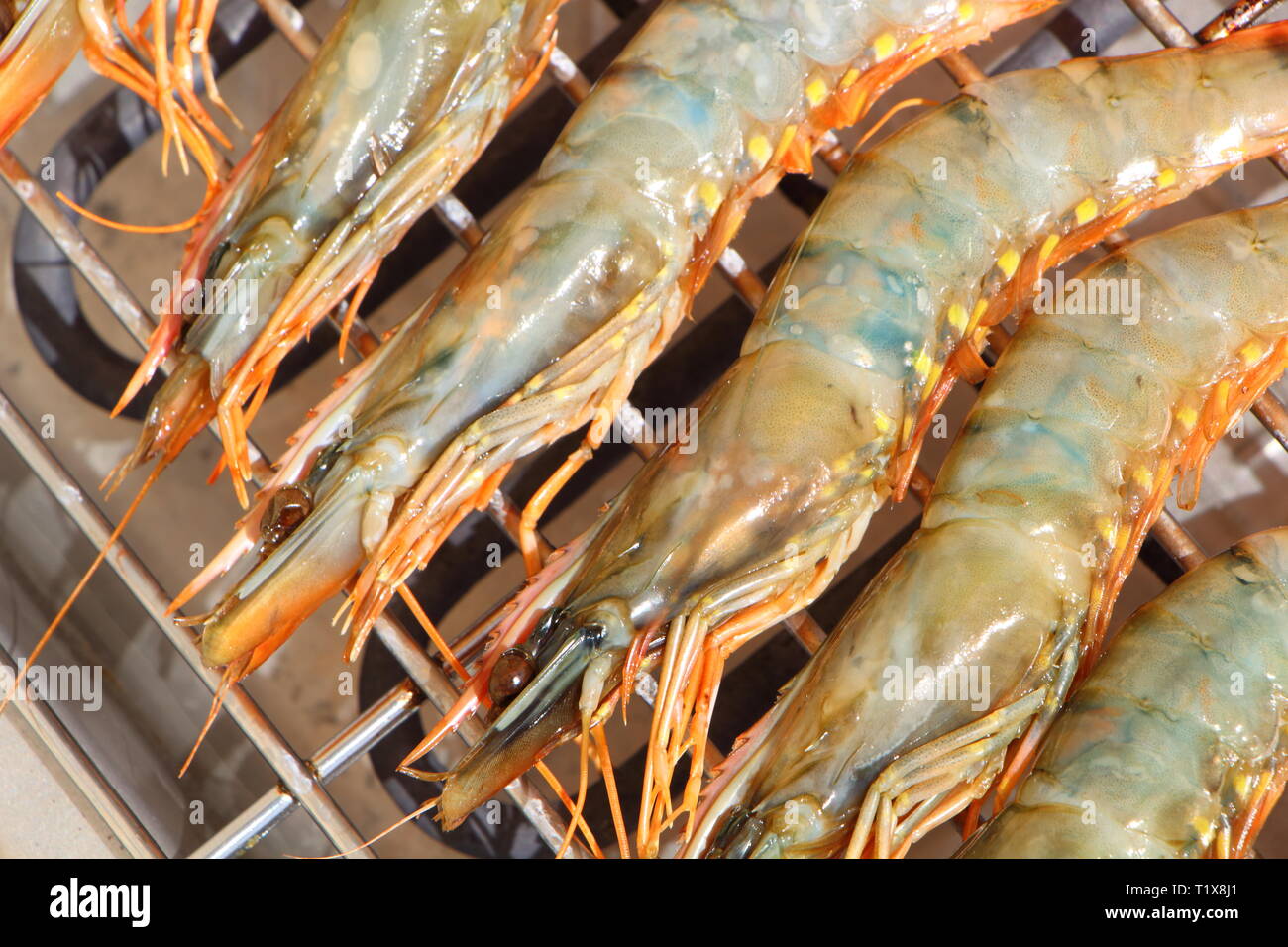 Raw fresh prawns on the rack of an electric barbecue during summer Stock Photo