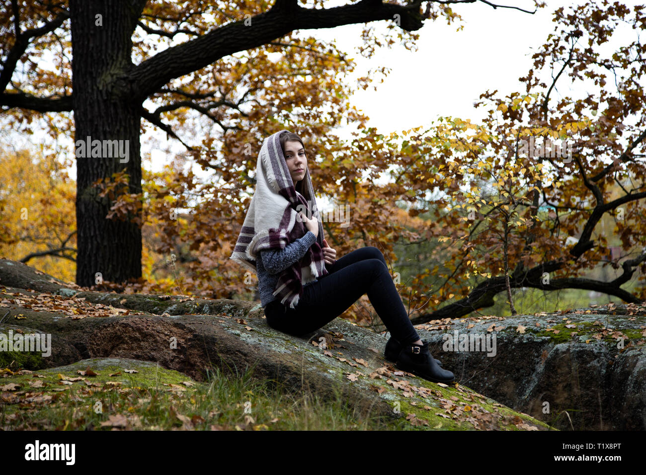 A cute, beautiful, modest religion girl with a scarf or scarf on her head is sitting in the autumn in a park on a stone. Moss and yellow leaves around Stock Photo