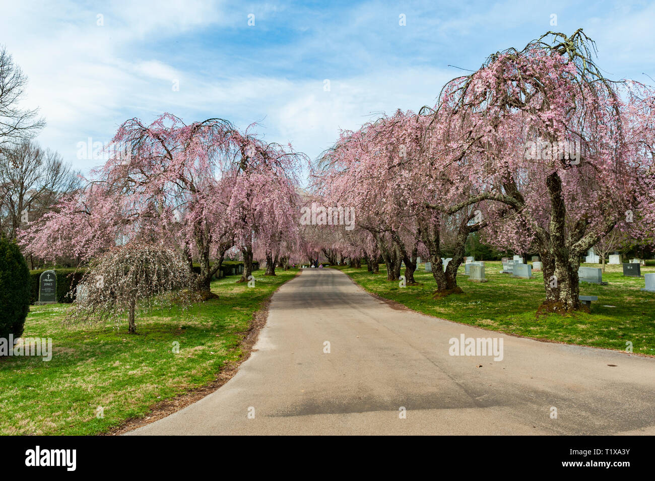 Lexington kentucky hires stock photography and images Alamy