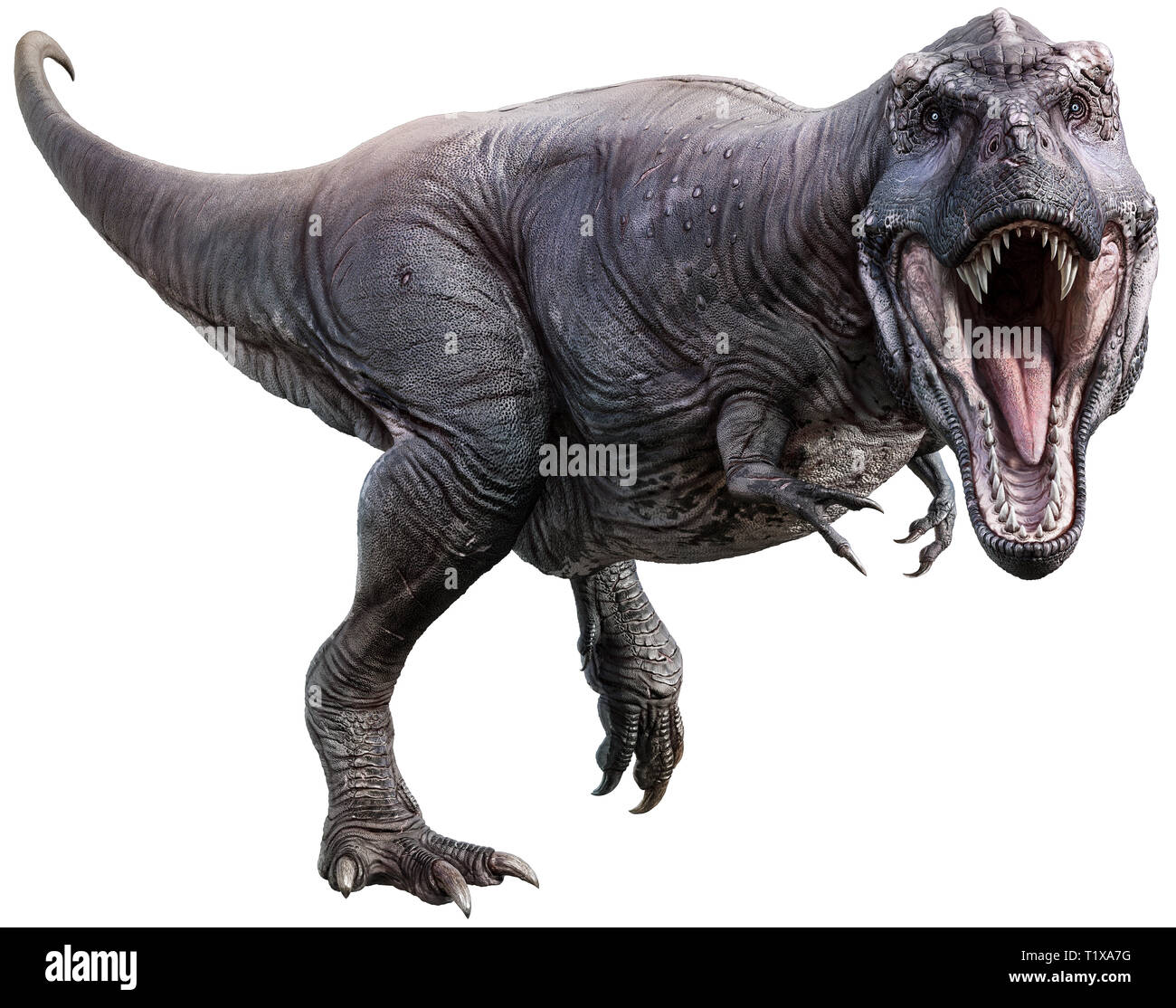 tyrannosaurus rex is running on ice age, 3d illustration Stock Photo - Alamy