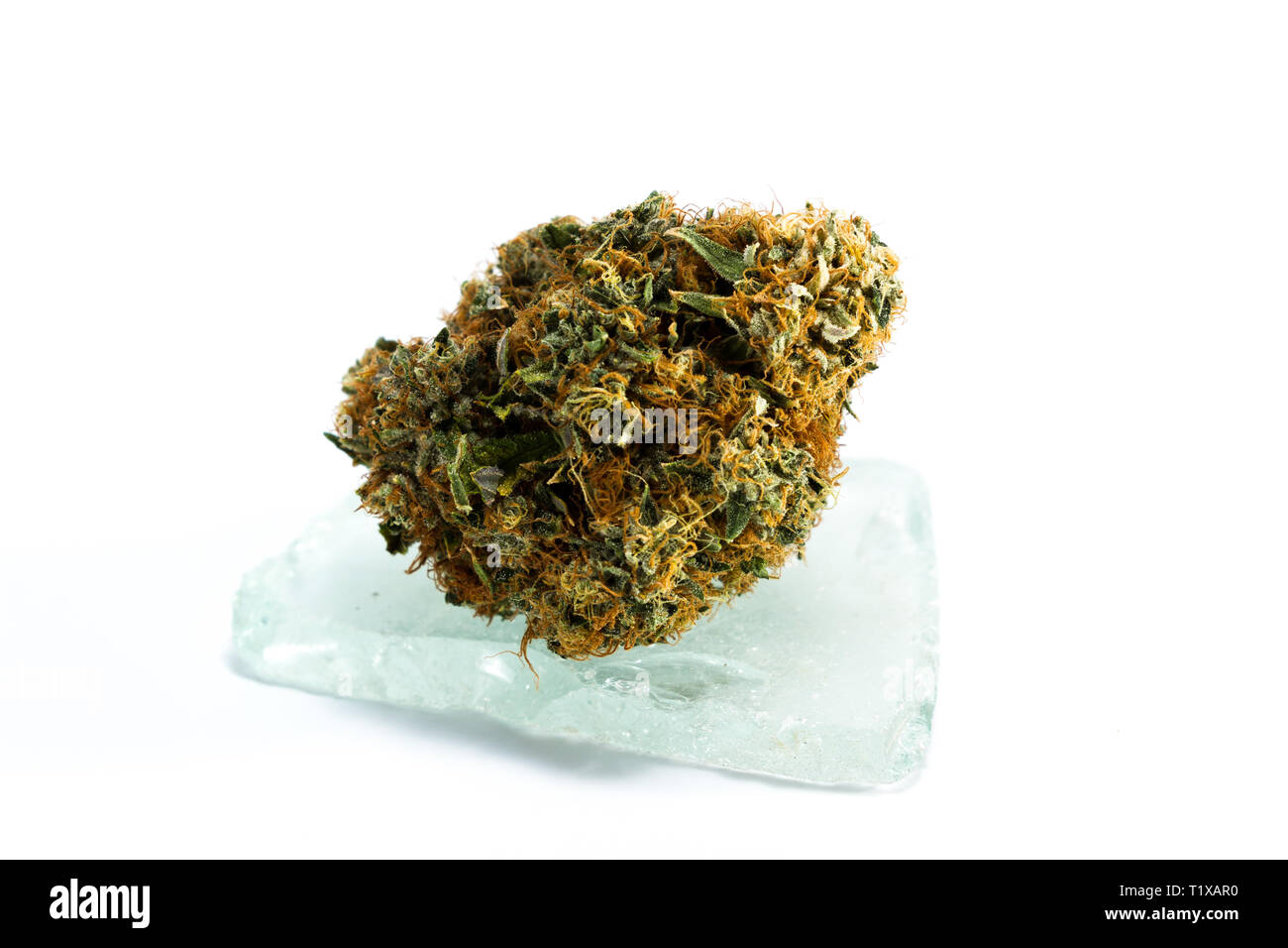 close up of a cannabis bud resting on a clear piece of glass over a white background Stock Photo