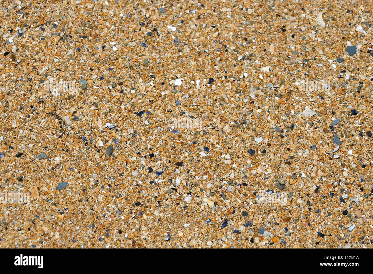Individual grains sand hires stock photography and images Alamy