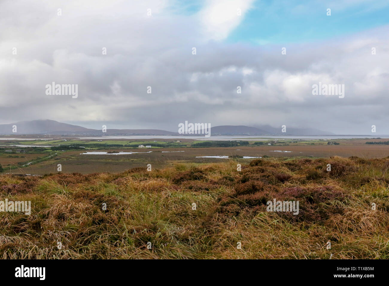Bogland and landscape in the west of ireland in County Mayo. View from Ballycroy National Park to Achill Island. Stock Photo