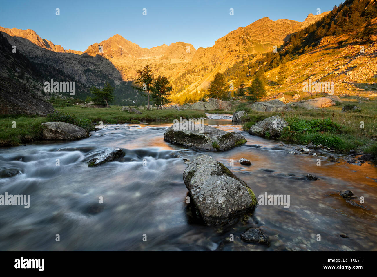 The Valasco Plain is one of the most beautiful places in the Alps Maritime Park Stock Photo