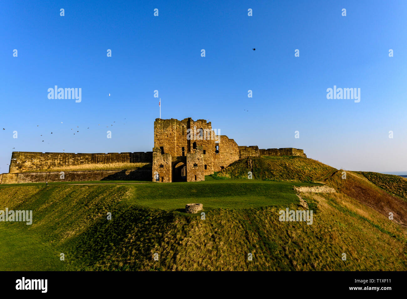 Tynemouth Priory, Tynemouth, UK Stock Photo Alamy