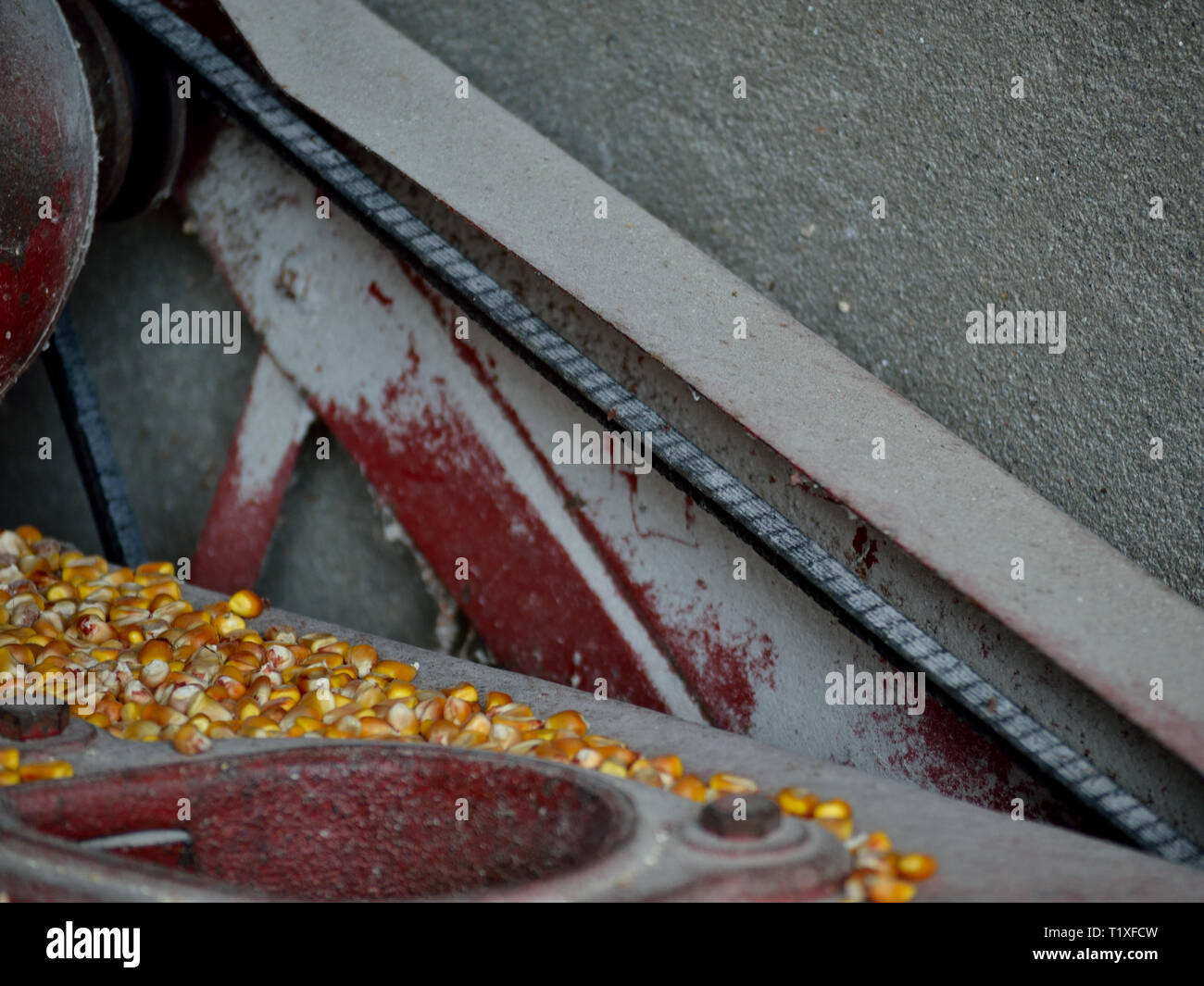Old electric corn sheller machine. Stock Photo