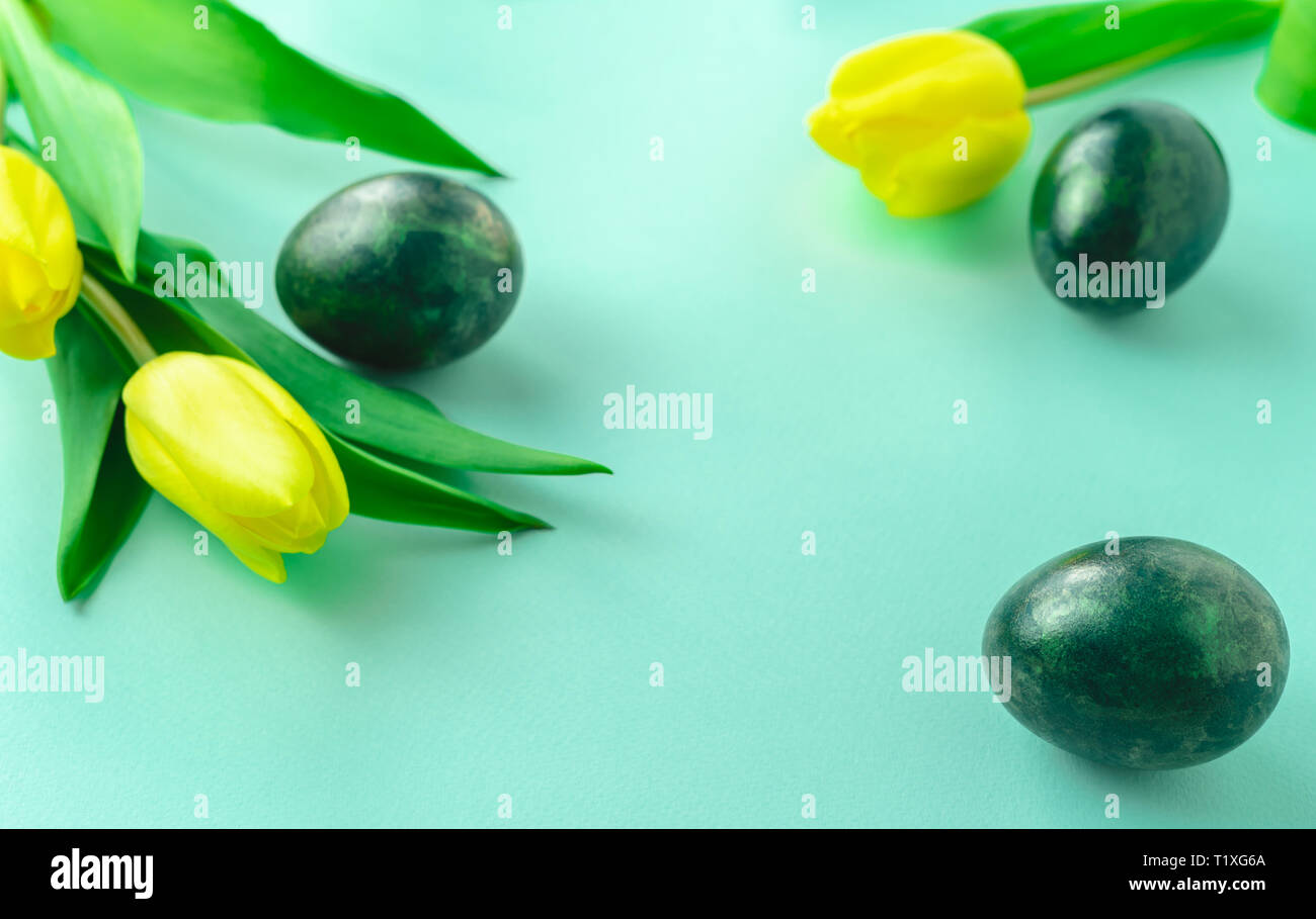 Spring concept with Easter eggs and yellow tulips on turquoise blue ...