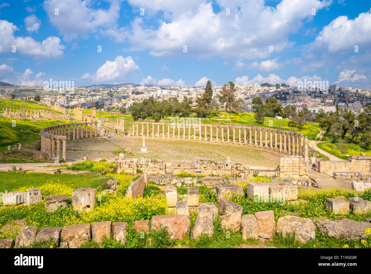 Oval Forum and Cardo Maximus at Jerash, Jordan Stock Photo